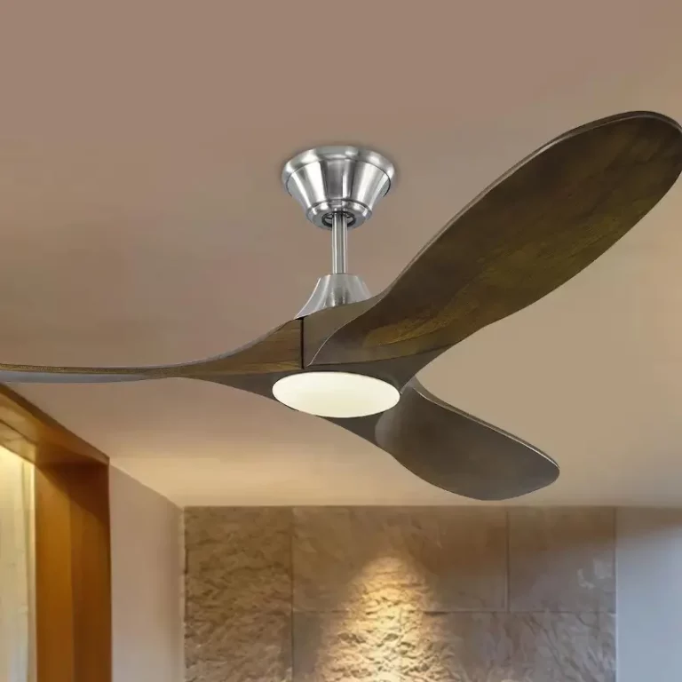 Monte Carlo Contemporary-Style Seiling Fan